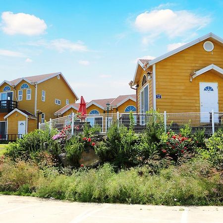 Healing House Villa Seogwipo Luaran gambar