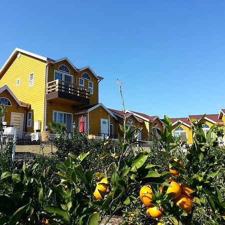 Healing House Villa Seogwipo Luaran gambar
