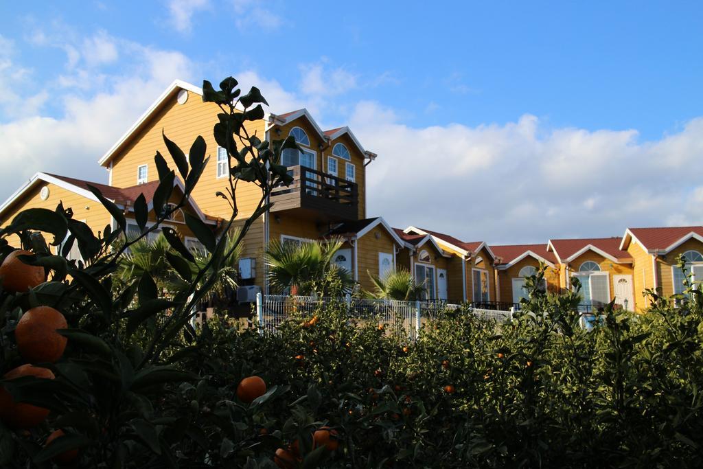 Healing House Villa Seogwipo Luaran gambar